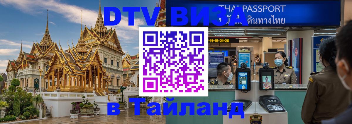 Сколько стоит DTV виза — актуальные цены, оформление даже без документов - 09.01.2026 